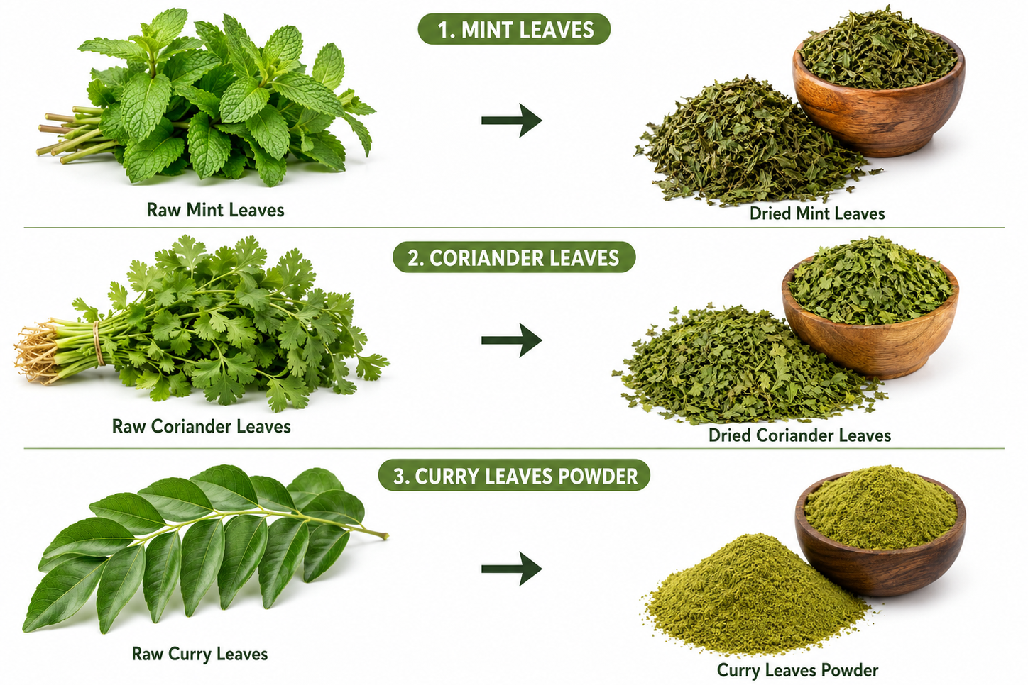 Raw and finished mint coriander and curry leaves products